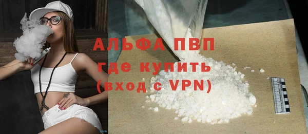 сатива Россошь
