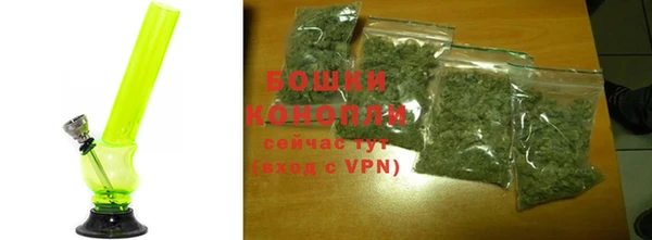 спайс Рославль