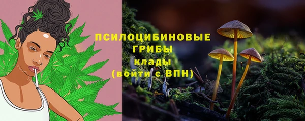 мяу мяу мука Алексеевка