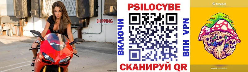 блэк спрут вход  Кириши  Псилоцибиновые грибы мицелий  даркнет сайт 