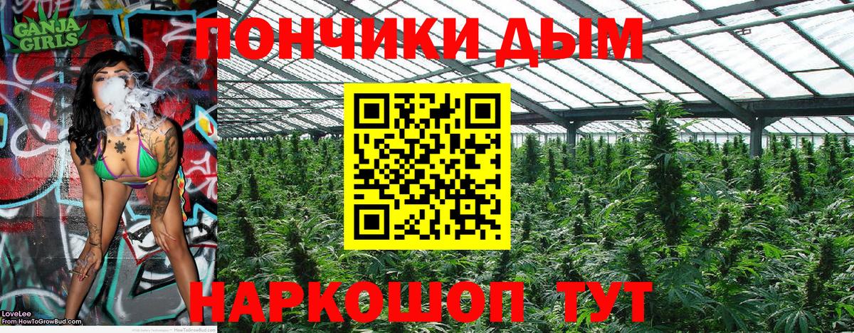 Бошки Шишки AK-47  Канабис тримм  Вход с VPN  Кириши  Каннабис THC 21%  Канабис план 